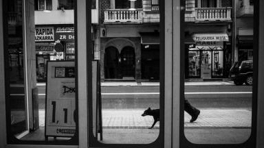 Menschhund/Dogman von Lilly Schwartz